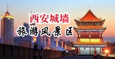 磨逼网站中国陕西-西安城墙旅游风景区